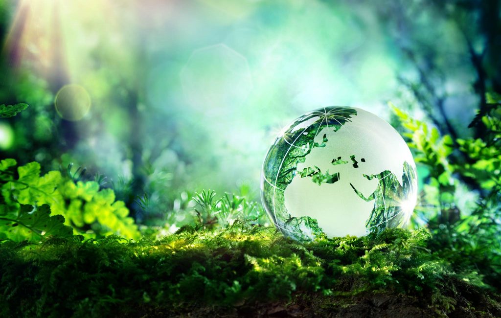A Glass Globe In a Forest Showing Environmental Sustainability and Recycling - MSCP Heat Management Solutions
